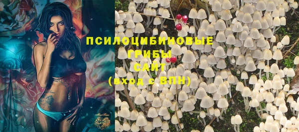 PSILOCYBIN Гусиноозёрск