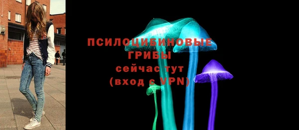 PSILOCYBIN Гусиноозёрск