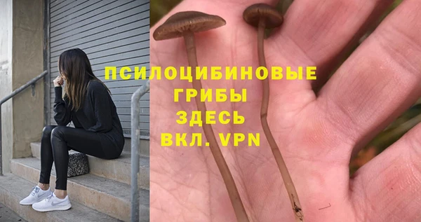 скорость mdpv Гусь-Хрустальный